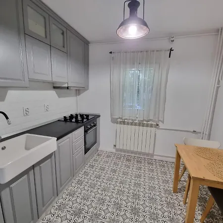 Aviatiei Caramfil Street Apartment